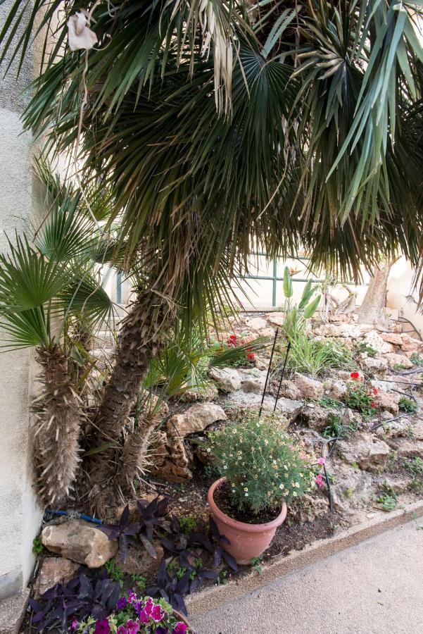 Eshkol Housing Haifa - Luxury Villa Panoramic Sea View エクステリア 写真